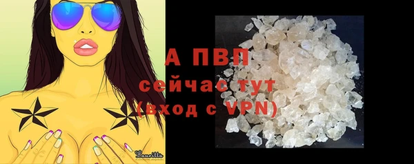 таблы Новодвинск