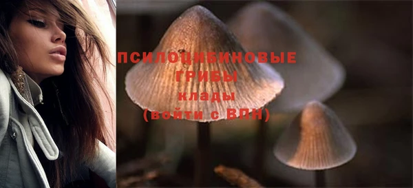 PSILOCYBIN Зеленокумск