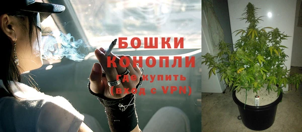 твердый Нея