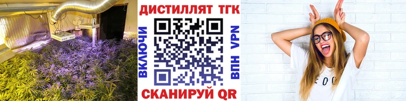 KRAKEN как зайти  Краснозаводск  ТГК концентрат 