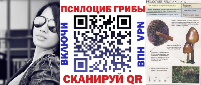 blacksprut вход  Краснозаводск  Псилоцибиновые грибы мицелий  дарнет шоп 